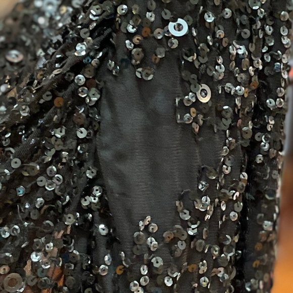 Silver sequined Maxi Dress Sz. 12/14 - Picture 6 of 8